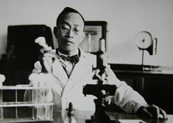 1955年，汤飞凡主持的沙眼研究小组分离出世界上第一株“沙眼衣原体”，命名为TE8，后在国际医学界引起巨大反响