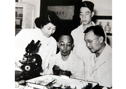 19世纪50年代，汤飞凡主持的沙眼研究小组分离出世界上第一株“沙眼衣原体”